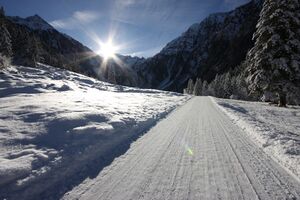 Bodensee 26562 2014-01-01.jpg