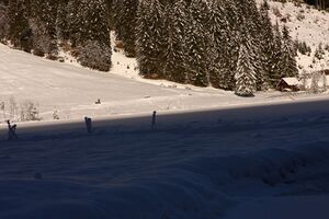 Bodensee 26613 2014-01-01.jpg