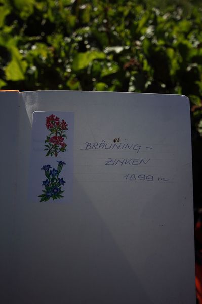 Datei:Bräuningzinken gipfelbuch 50145 2017-06-11.jpg