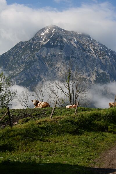 Datei:Dörfl zlem-0577-2023-06-09.jpg