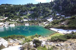 Dreibrüdersee 77439 2018-06-04.jpg