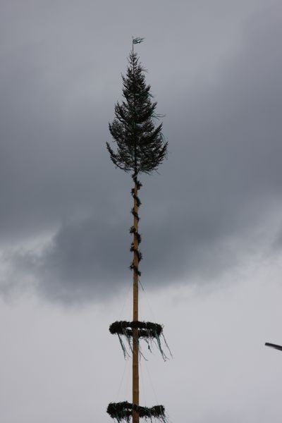 Datei:Maibaum rohrmoos 3736 13-05-26.JPG