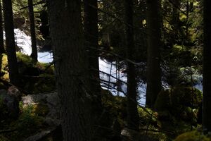 Obertalbach eschach 6335 2011-05-27.jpg