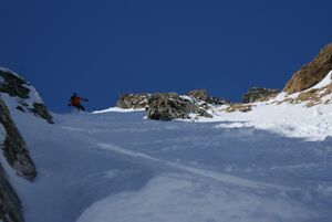 Schnabelkar 5652 2012-03-20.jpg