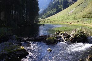 Schwarzenseebach kleinsölk 72613 2014-09-17.jpg