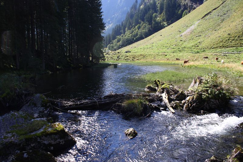 Datei:Schwarzenseebach kleinsölk 72613 2014-09-17.jpg