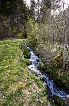 Zaunergrabenbach donnersbach-1000-2020-04-21.jpg