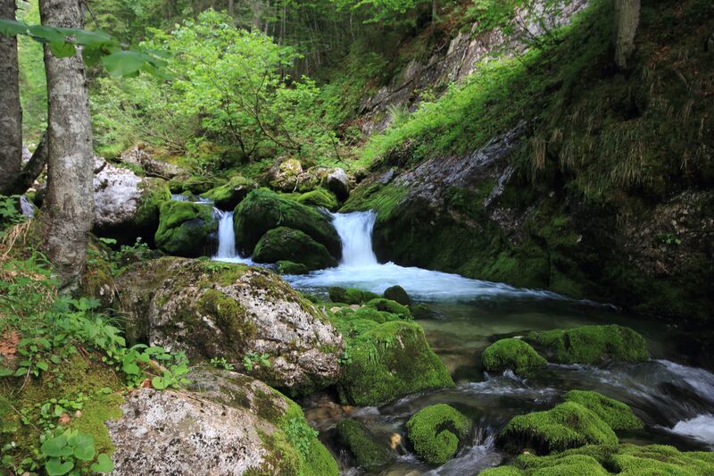 Datei:Zimitzbach grundlsee 77278 2018-06-04.jpg