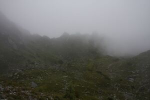 Brotrinndl 2712 2011-07-20.jpg