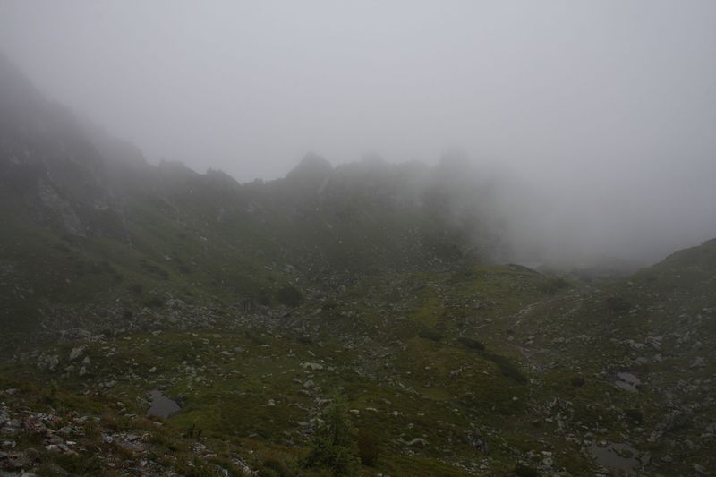 Datei:Brotrinndl 2712 2011-07-20.jpg