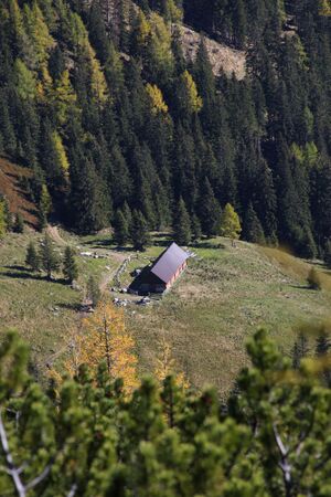 Kaltherbergalm 36504 2011-10-18.jpg