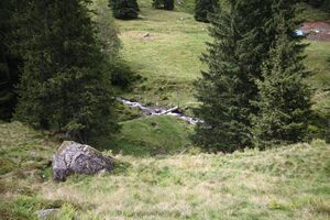 Knallbach knallalm 55603 2016-08-17.jpg