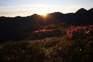 Nageleck sunrise 27417 2010-08-11.jpg