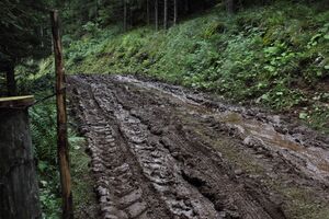 Umfahrung st.nikolai 55475 2017-08-13.jpg