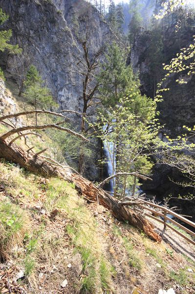 Datei:Wasserlochklamm palfau 70444 2018-04-23.jpg