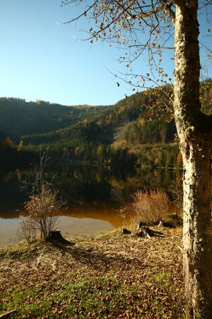 Ödensee 77920 2014-11-03.jpg