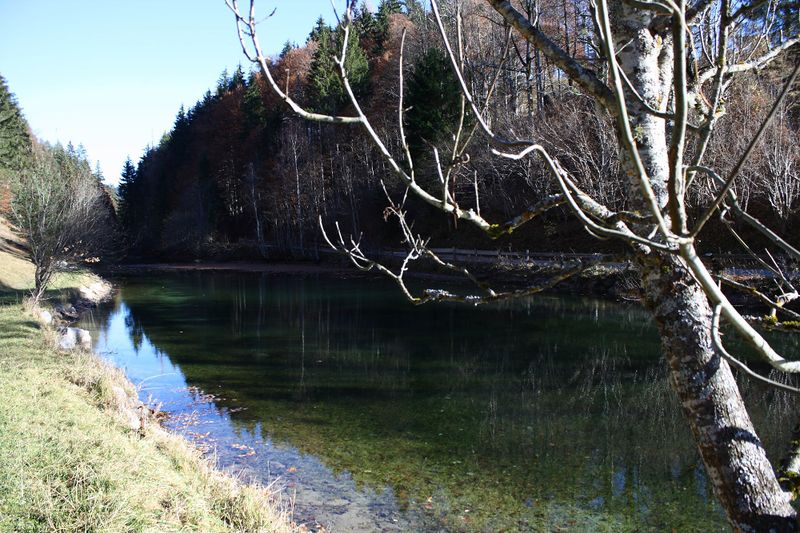 Datei:Almseeteich burgstaller 13938 2015-11-12.jpg