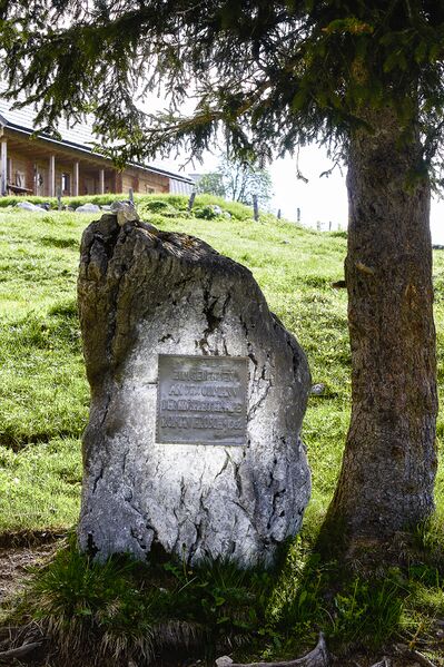 Datei:GD roman frosch-0375-2022-05-18.jpg