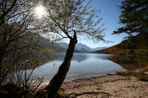 Grundlsee See 77880 2014-11-03.jpg