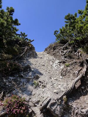 Hahnstein admont 60451 2014-06-12.JPG