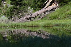 Karsee kemetgebirge 96883 2015-07-16.jpg