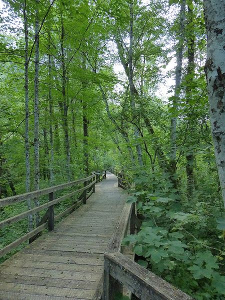 Datei:Lettmair Au06.JPG