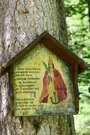 MA Seebacher hallbach-0033-2024-07-11.jpg