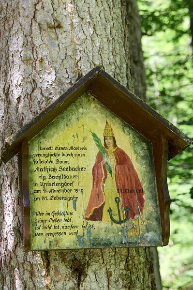 Datei:MA Seebacher hallbach-0033-2024-07-11.jpg