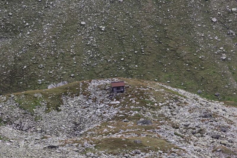 Datei:Neualmkar graunock 57441 2017-08-22.jpg