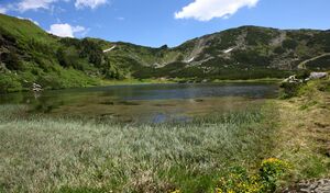 Plannersee 65278 2014-06-26.jpg