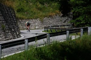 Ramsauer strasse 67112 2014-08-02.jpg