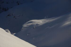 Schnabelkar 77432 2011-02-02.jpg