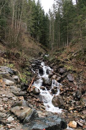 Steinkargrabenbach mittereggtal 63443 2017-11-02.jpg