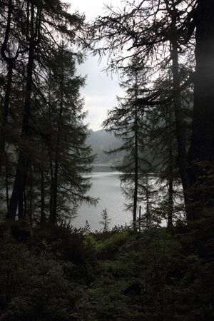 Steirersee südufer 51303 2017-06-24.jpg