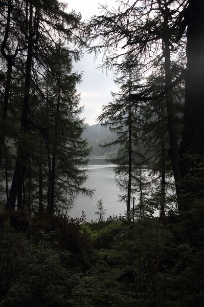 Datei:Steirersee südufer 51303 2017-06-24.jpg