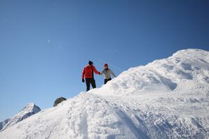Zwerfenberg 2619 2009-04-25.jpg