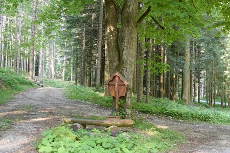BST Schoberweg Breitau-0120-2025-06-18.jpg