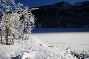Bodensee 26493 2014-01-01.jpg