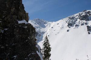 Eiskar 2875 2009-04-25.jpg