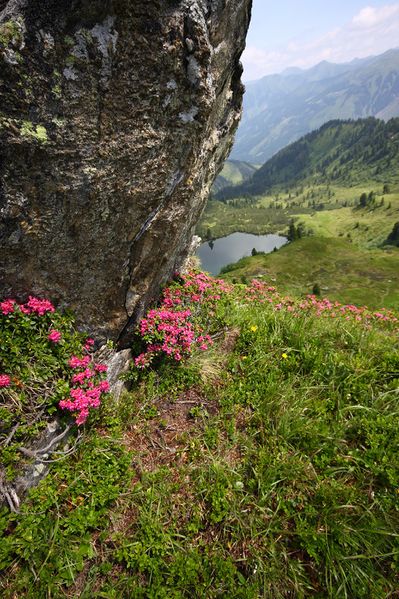 Datei:Finsterkarsee 1218 13-07-12.jpg