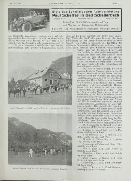 Datei:Gestüt Stainach 1924 02.jpg