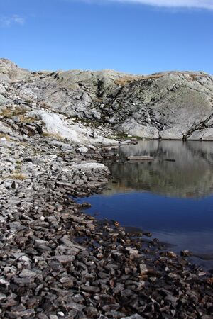 Goldlacken 0236 2013-10-08.jpg