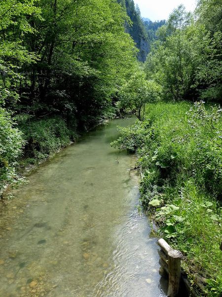 Datei:Lettmair Au14.JPG