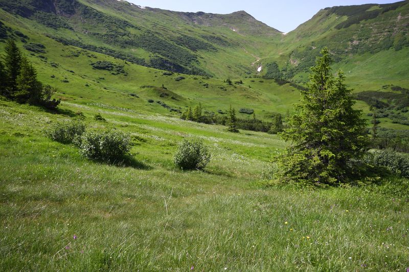 Datei:Mößnakar 0851 13-07-12.jpg