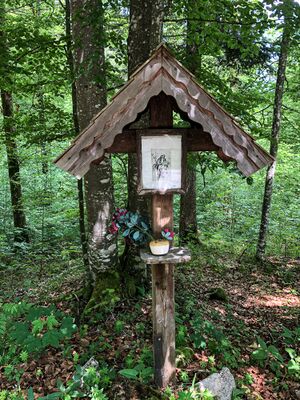 MA1 Koppentalstrasse-3100-2021-06-08.jpg