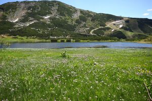 Plannersee 65265 2014-06-26.jpg