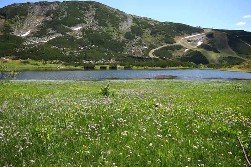 Datei:Plannersee 65265 2014-06-26.jpg