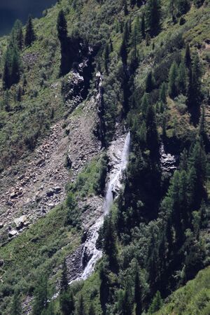 Schleierwsf -hochlabeck 49594 2017-06-09.jpg