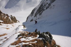 Schnabelkar 5559 2012-03-20.jpg