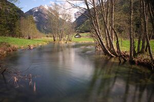 Untertalbach 7709 2012-05-04.jpg